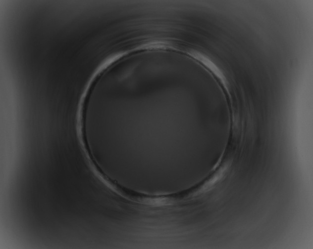 X0000100401045200806061312