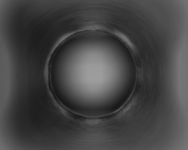 X0000100401046200806061312