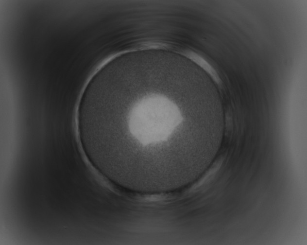 X0000100401047200806061312