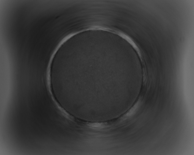 X0000100401048200806061312
