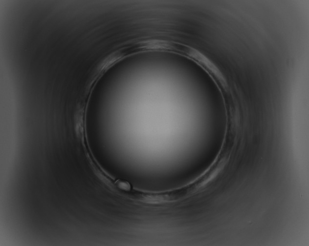 X0000100401049200806061312