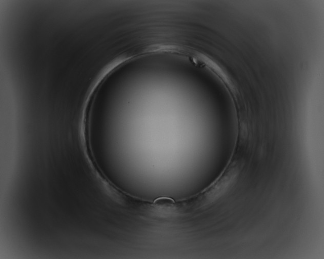 X0000100401050200806061312