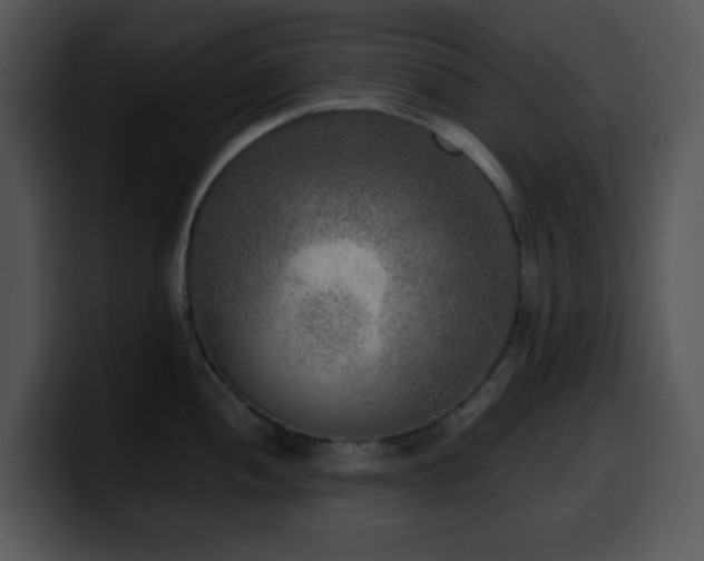 X0000100401052200806061312