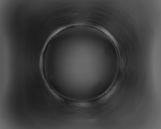 X0000100401053200806061312