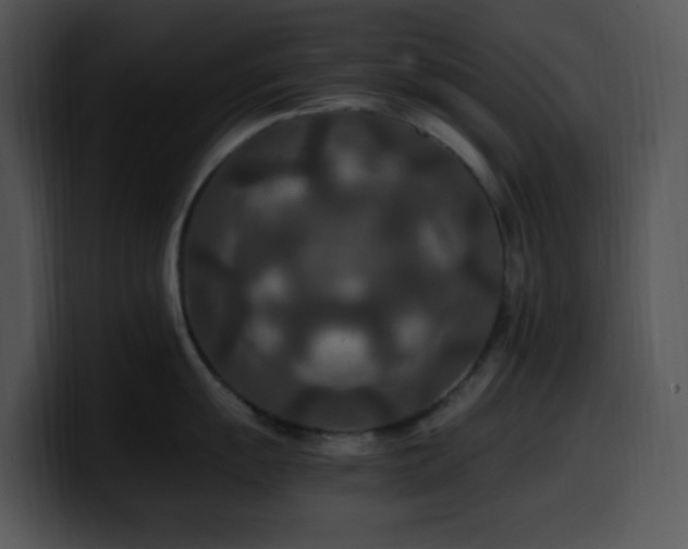 X0000100401055200806061312