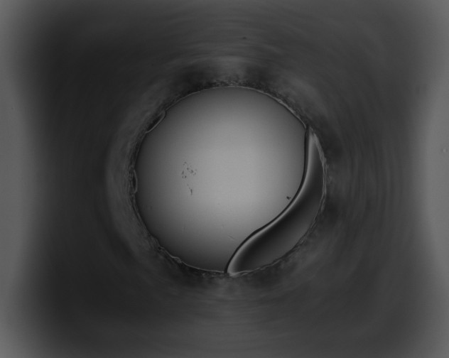 X0000100401057200806061311