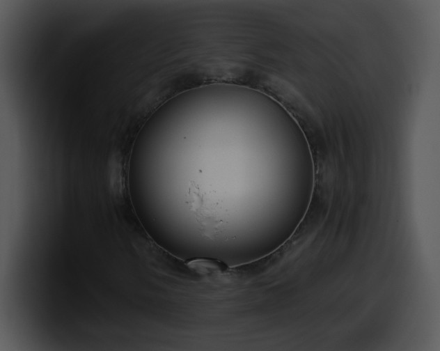 X0000100401058200806061311