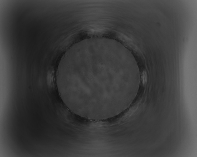 X0000100401059200806061311