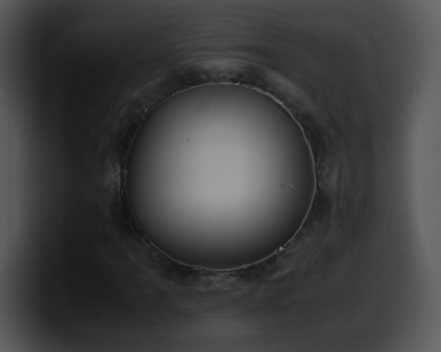 X0000100401061200806061311