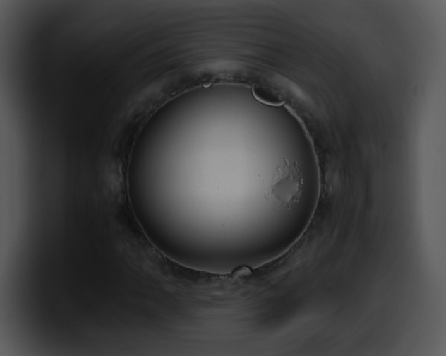X0000100401062200806061311