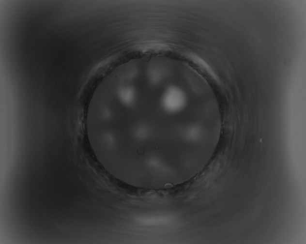 X0000100401063200806061311