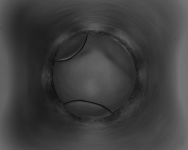 X0000100401064200806061311