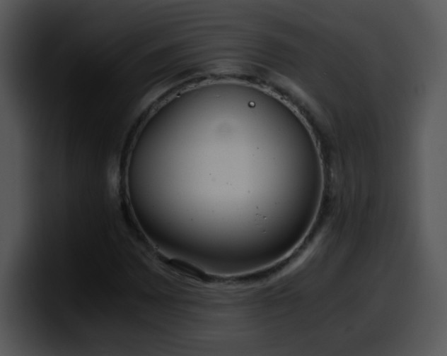 X0000100401065200806061311