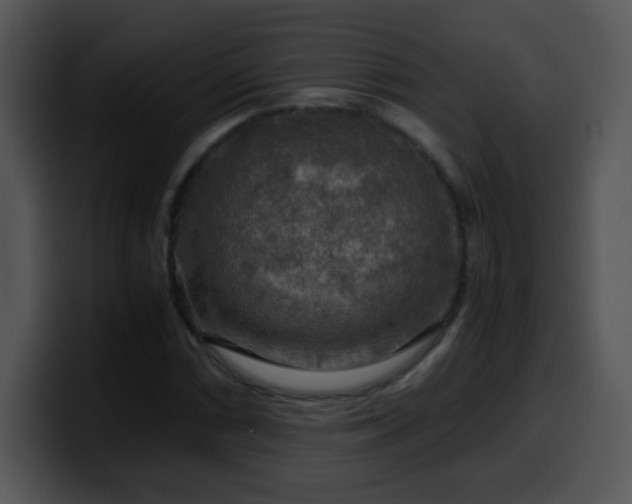 X0000100401066200806061311