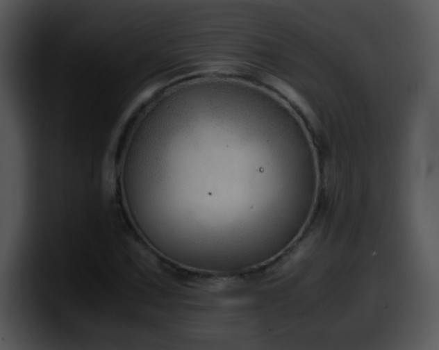 X0000100401067200806061311
