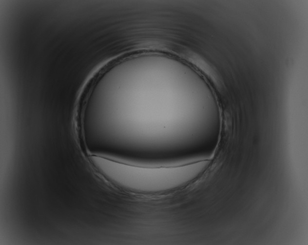 X0000100401068200806061311
