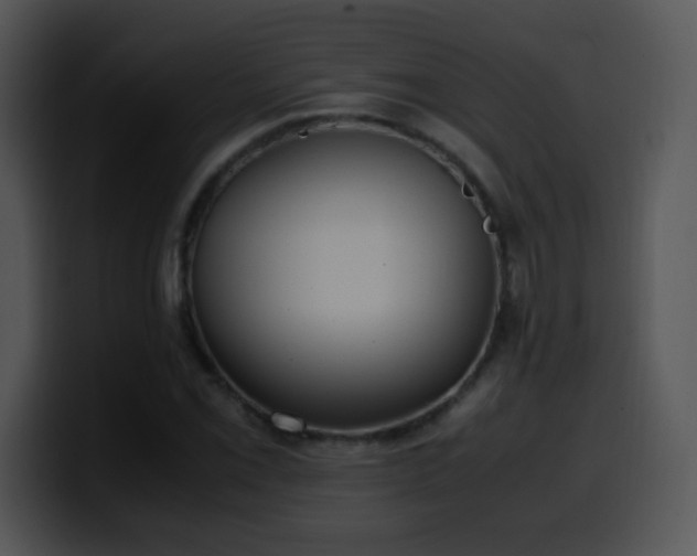 X0000100401069200806061311
