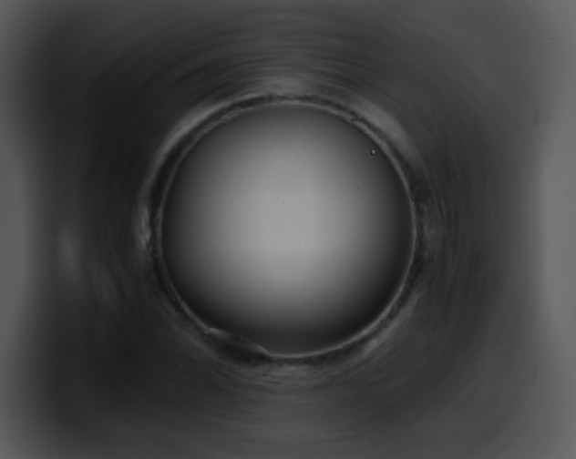 X0000100401070200806061311
