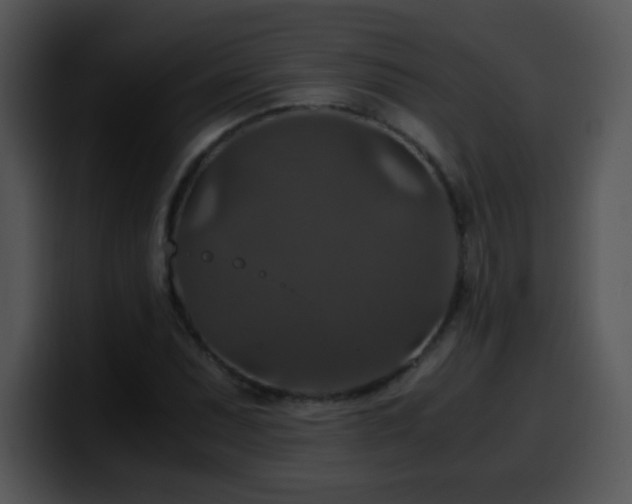 X0000100401071200806061311