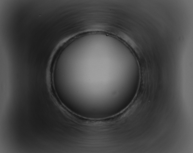 X0000100401072200806061311