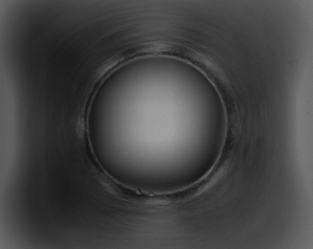 X0000100401073200806061311