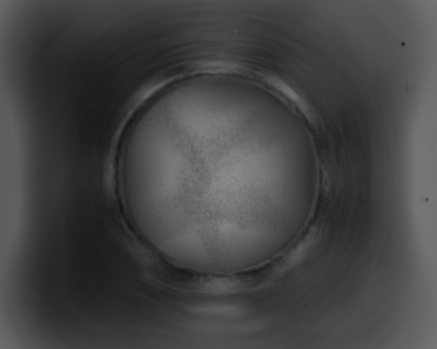 X0000100401074200806061311