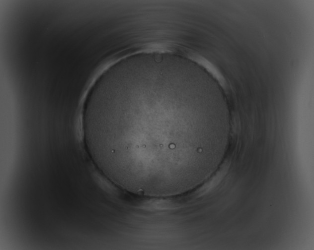 X0000100401075200806061311