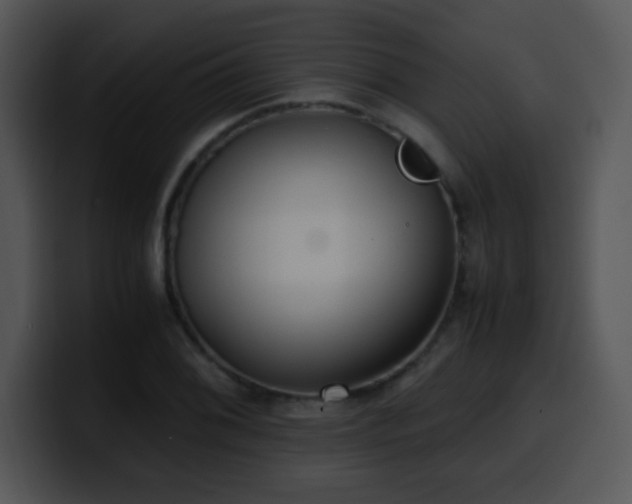 X0000100401076200806061311