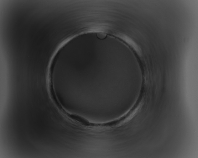 X0000100401077200806061311