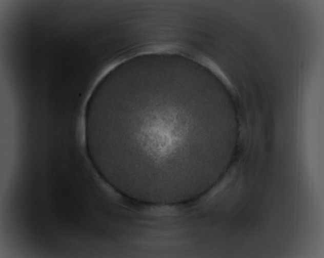 X0000100401079200806061311