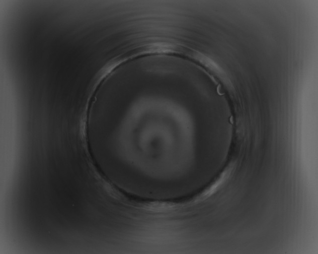 X0000100401081200806061311