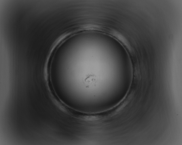 X0000100401082200806061311