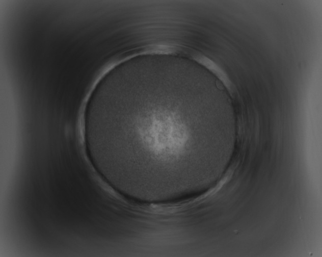 X0000100401083200806061311