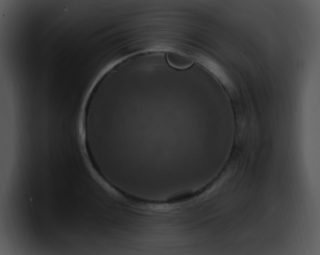 X0000100401084200806061311