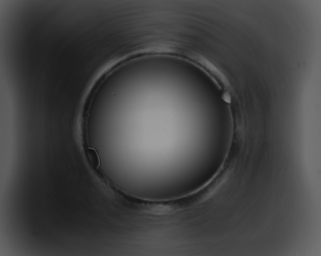 X0000100401085200806061311