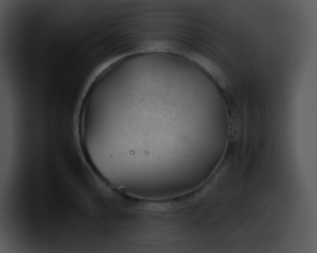 X0000100401086200806061311