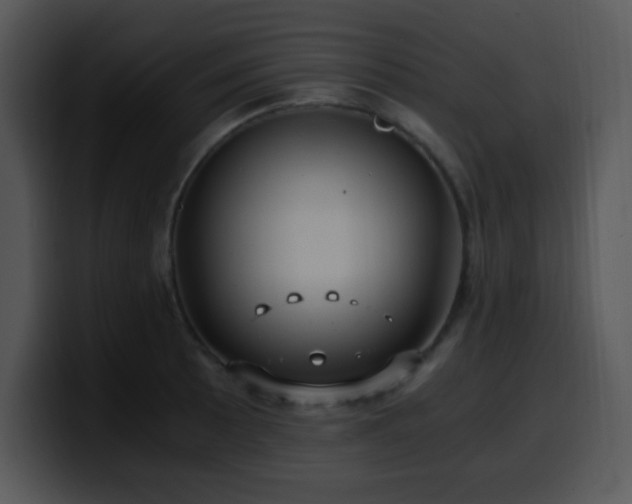 X0000100401089200806061311
