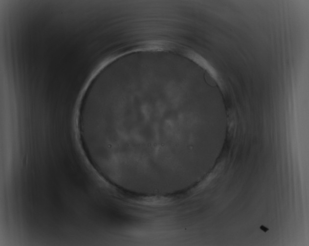 X0000100401091200806061311