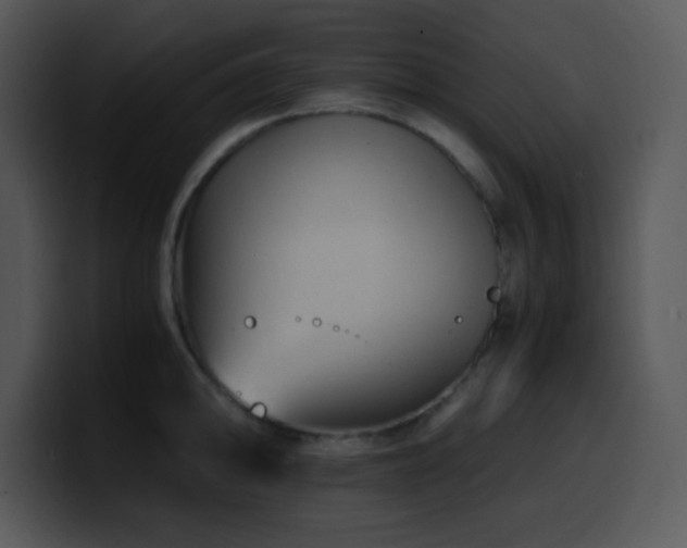 X0000100401094200806061311
