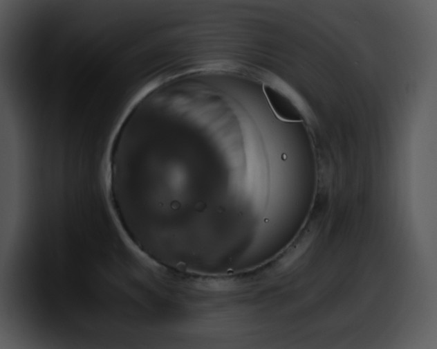 X0000100401095200806061311