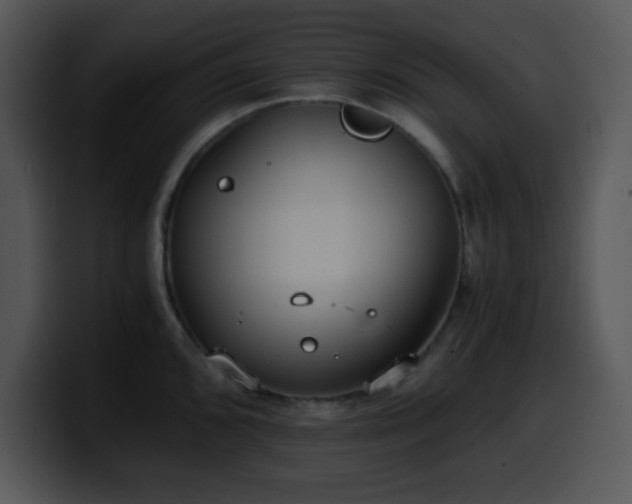 X0000100401096200806061311