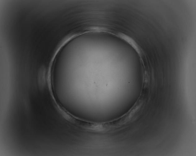 X0000100401098200806061310
