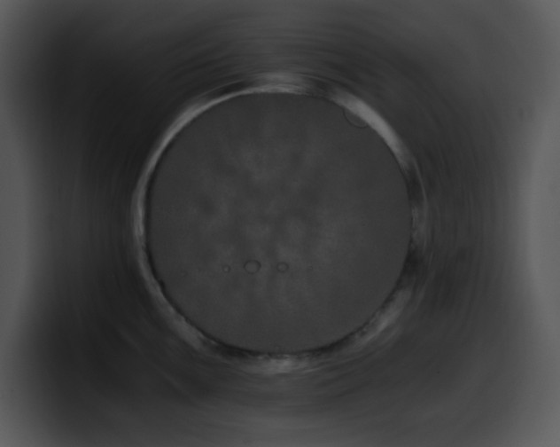X0000100401099200806061310