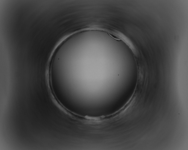 X0000100401100200806061310