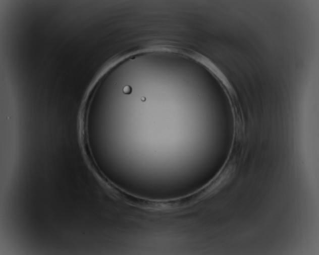 X0000100401101200806061310