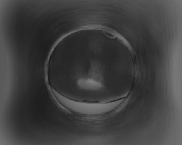 X0000100401102200806061310