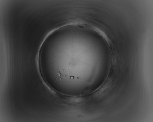 X0000100401103200806061310