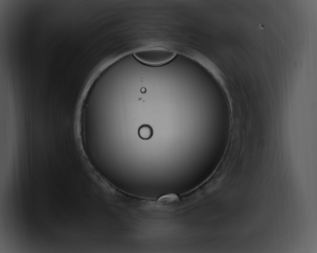 X0000100401104200806061310