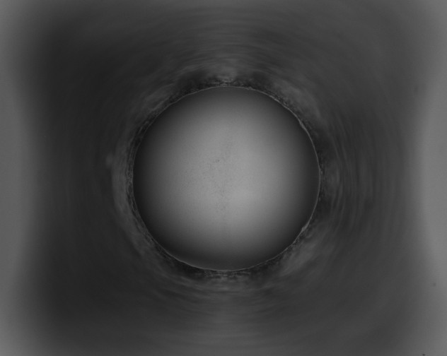 X0000100401105200806061310