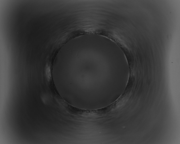 X0000100401106200806061310